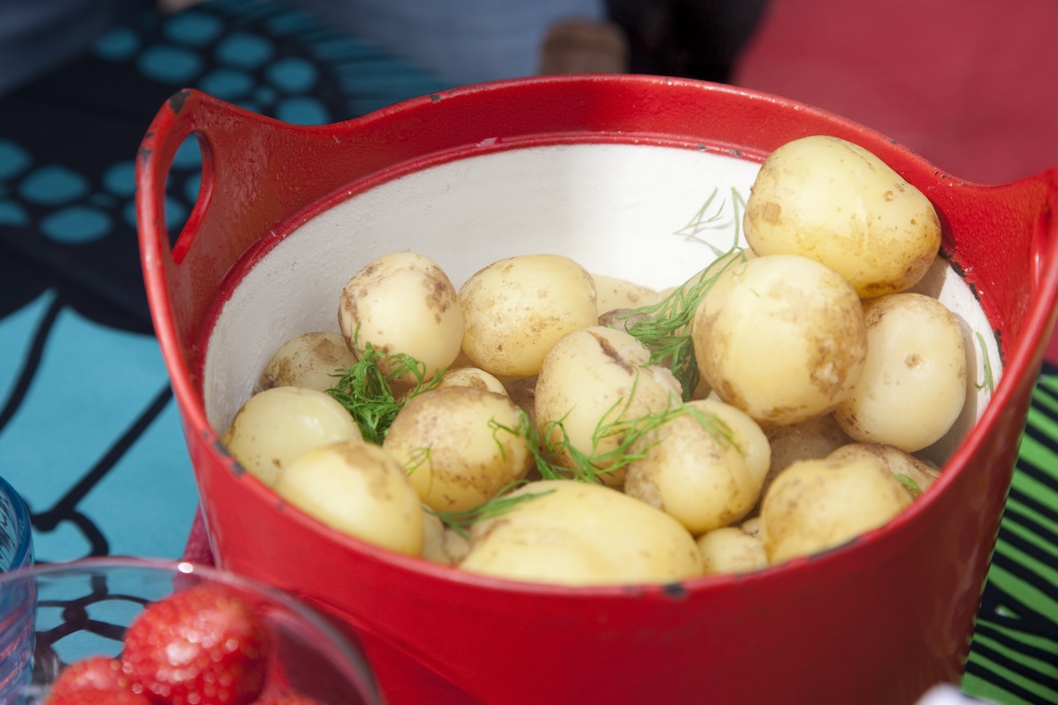 Finnish summer potatoes in a red pan with fresh dill.