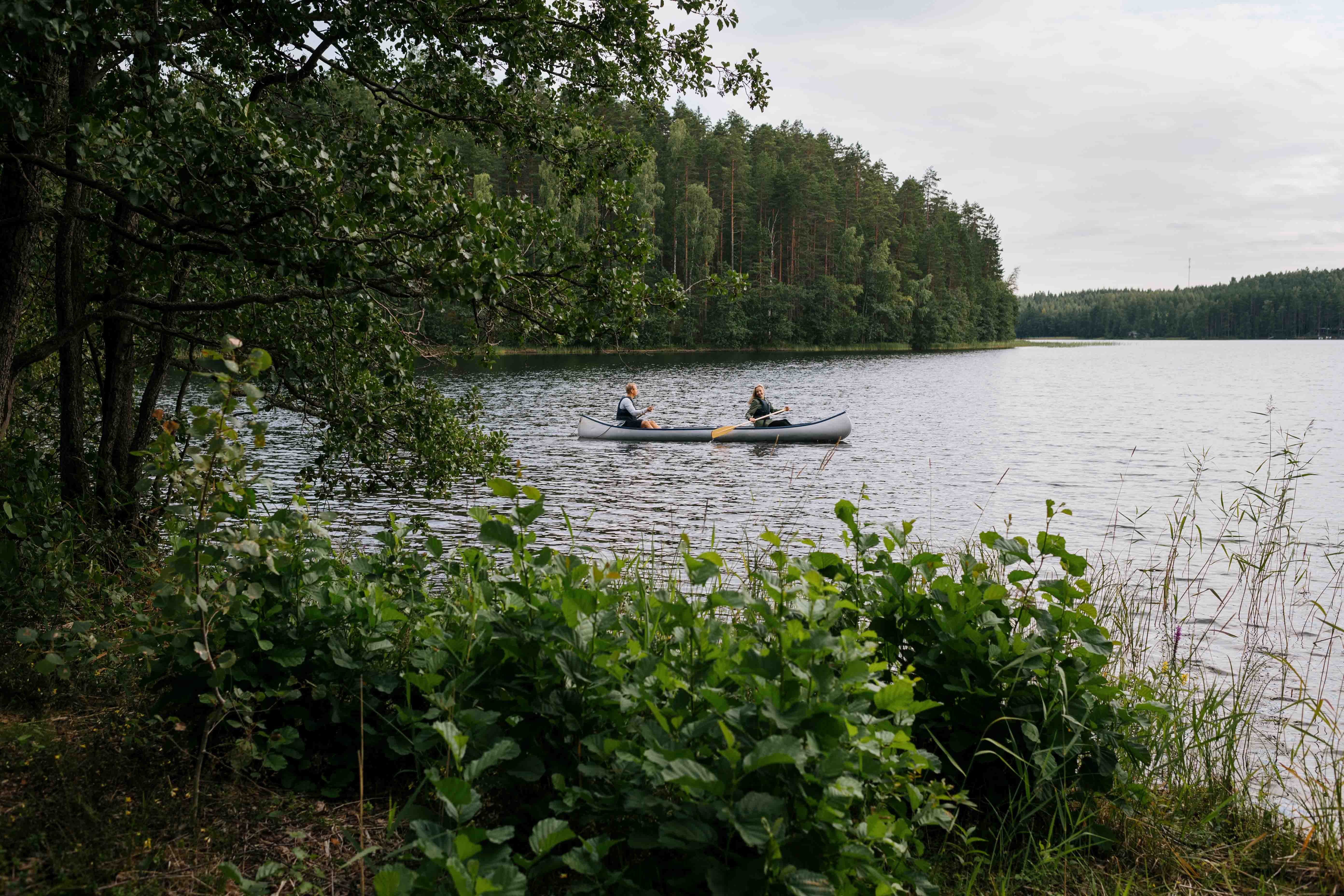 フィンランドの湖でボートを漕ぐ人たち