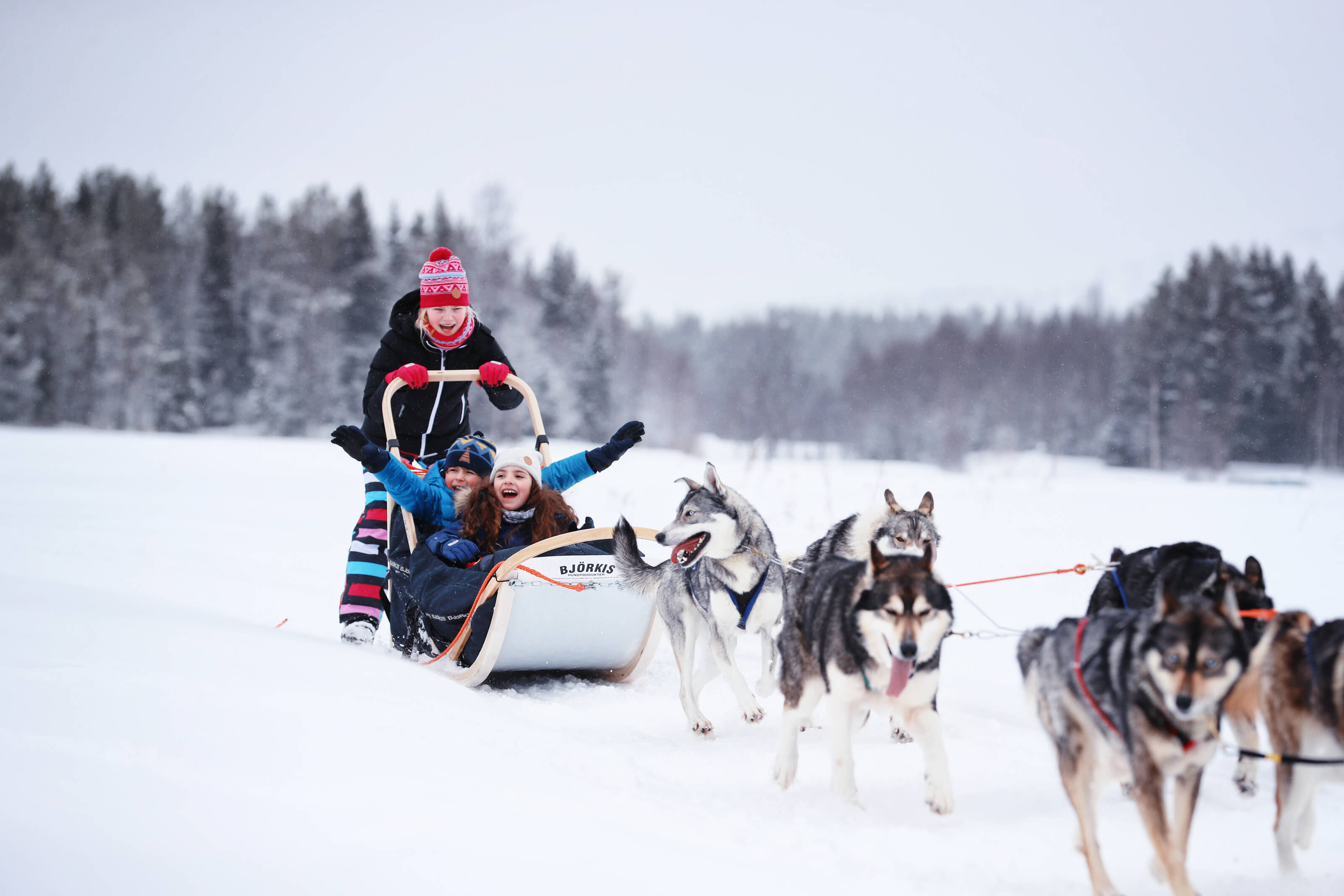 Kids on husky ride in Finland in the winter.
