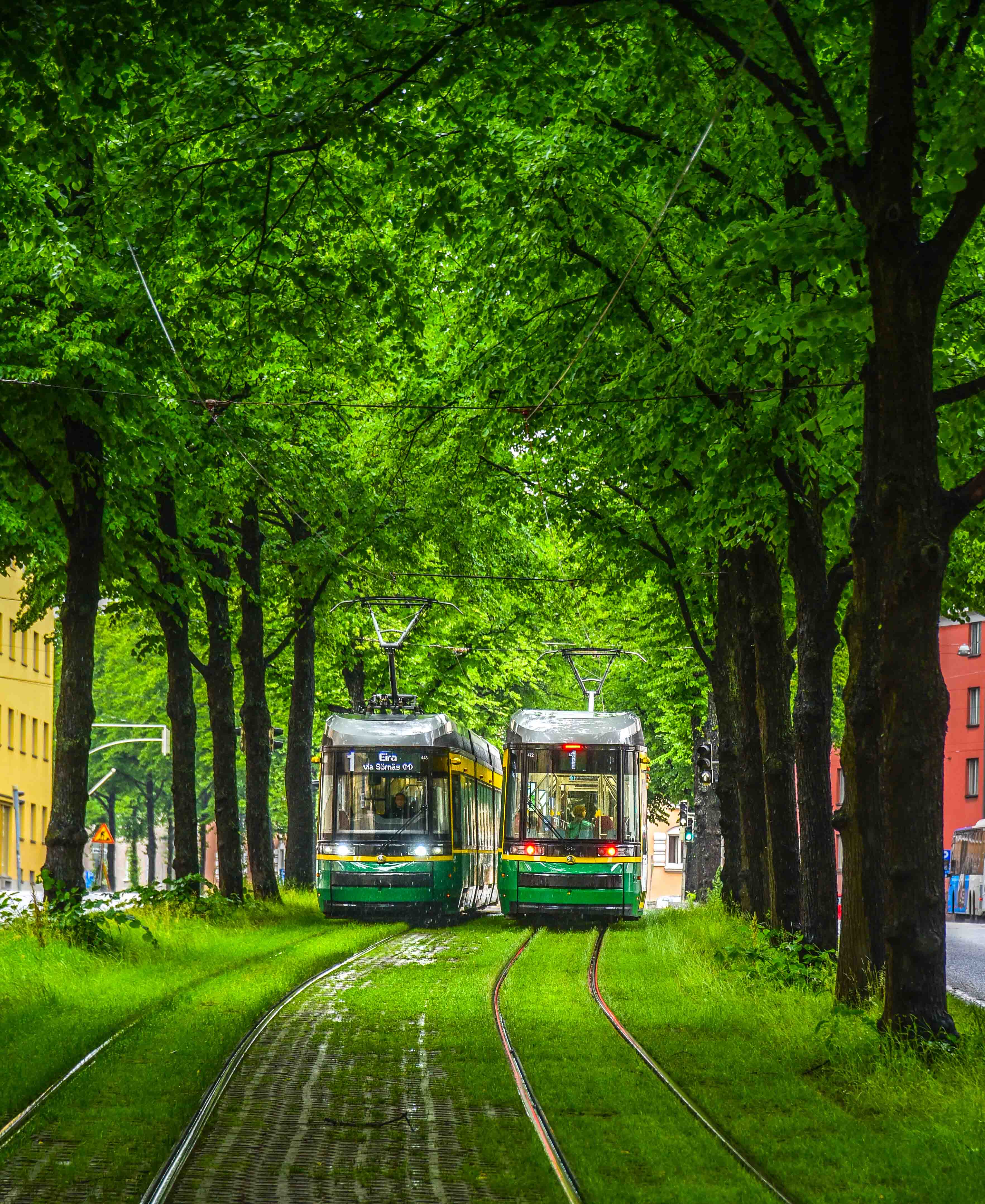 Two trams bypassing each other in tracks surrounded by trees