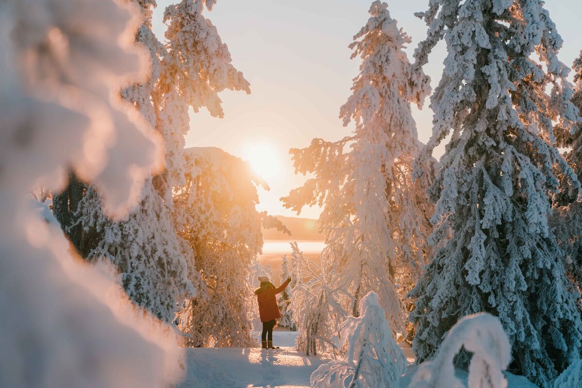 Mujer de pie en un bosque cubierto de nieve mientras brilla el sol