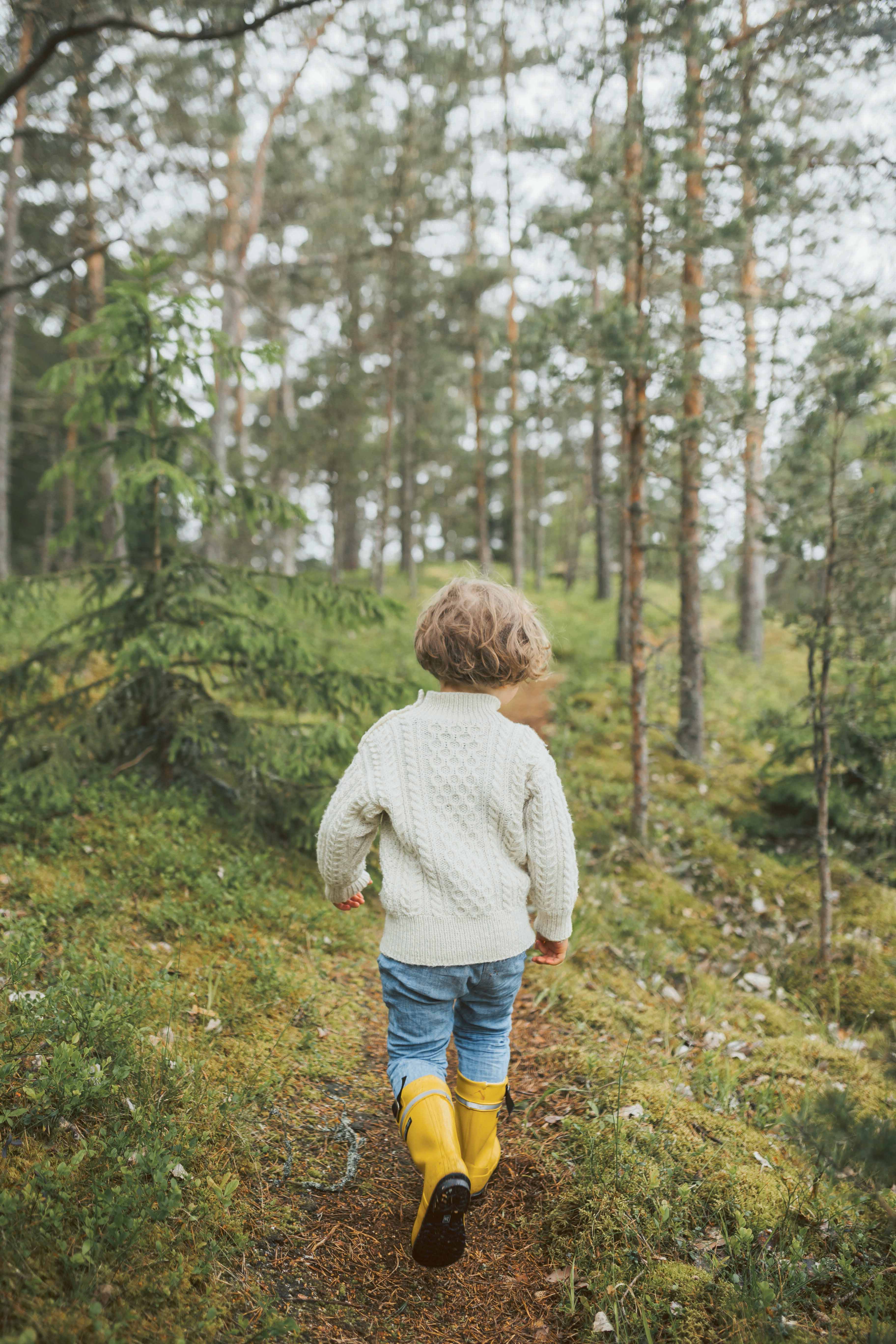 Niño paseando por el bosque