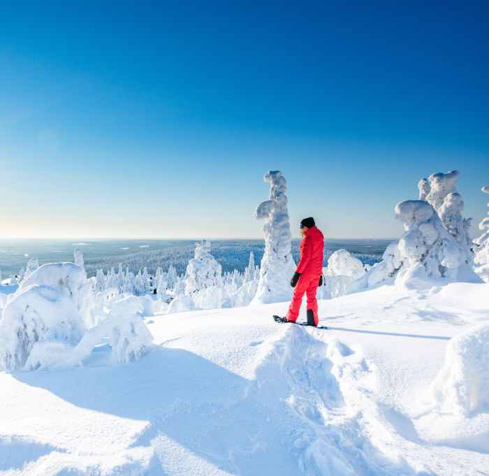Best things to do in Finland during winter