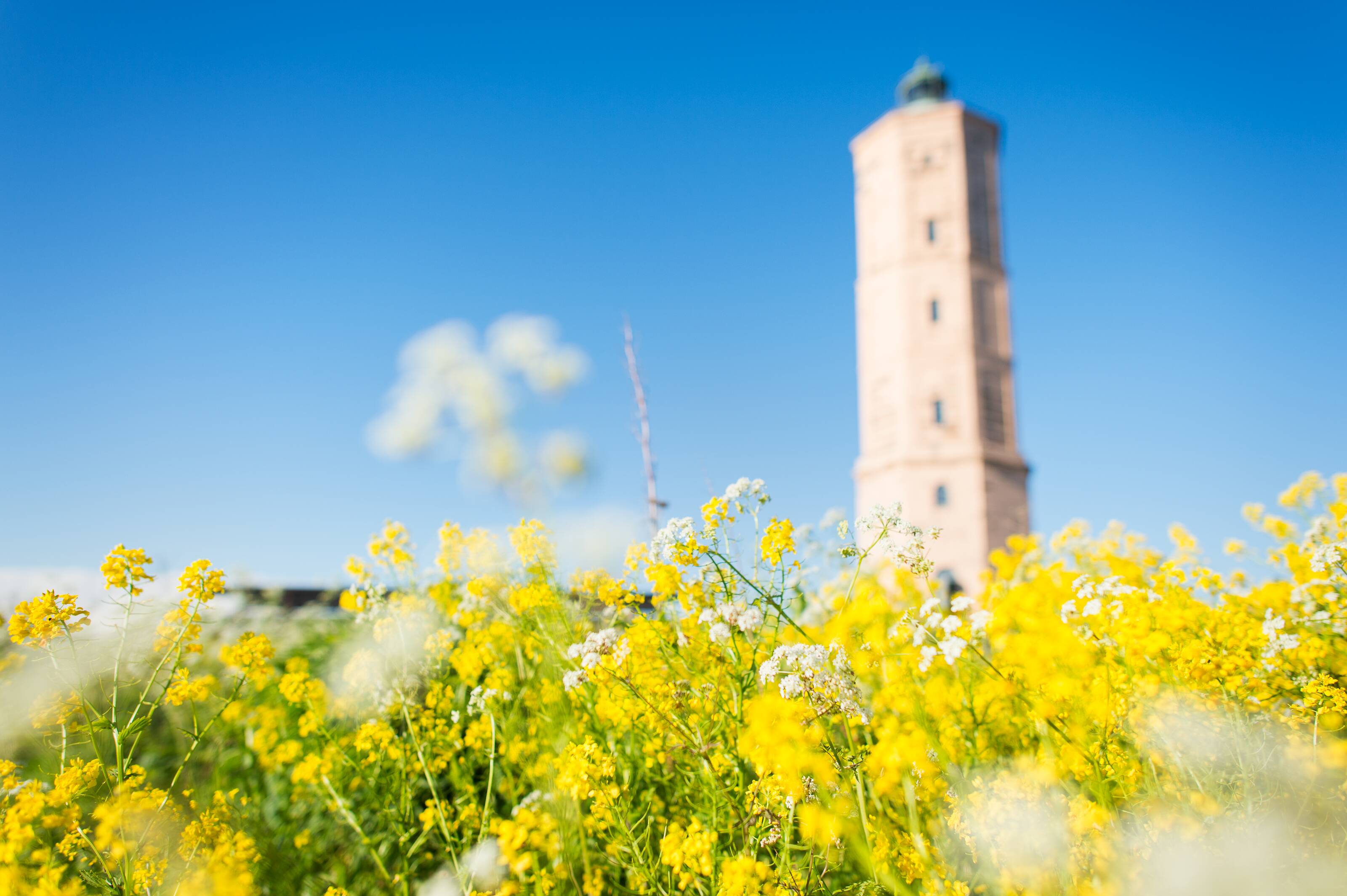 Der Leuchtturm Söderskä umgeben von finnischer Fauna im Porvoo-Archipel in Finnland