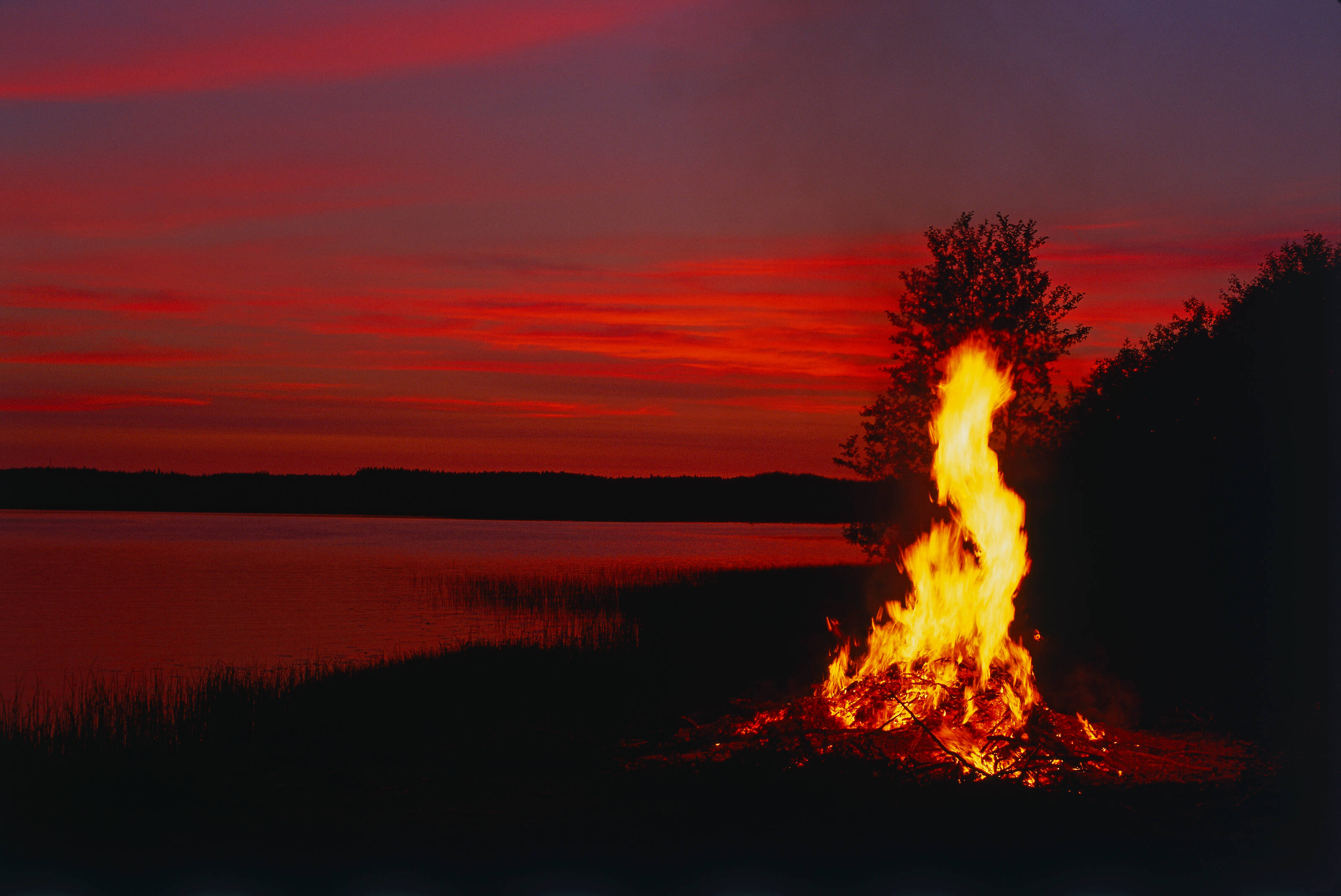 Brennendes Mittsommer-Lagerfeuer an einem See