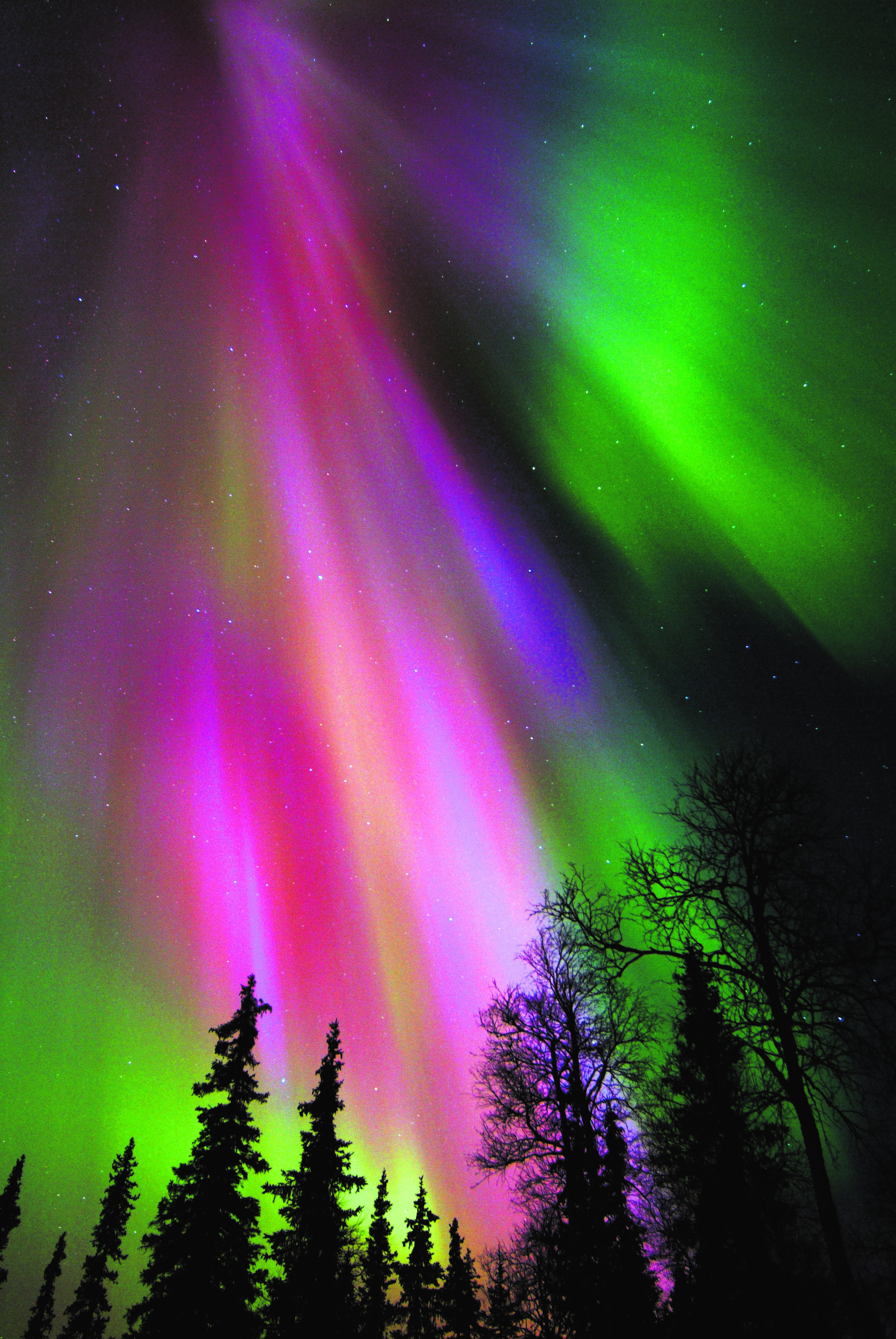 Colourful northern lights in a nightsky