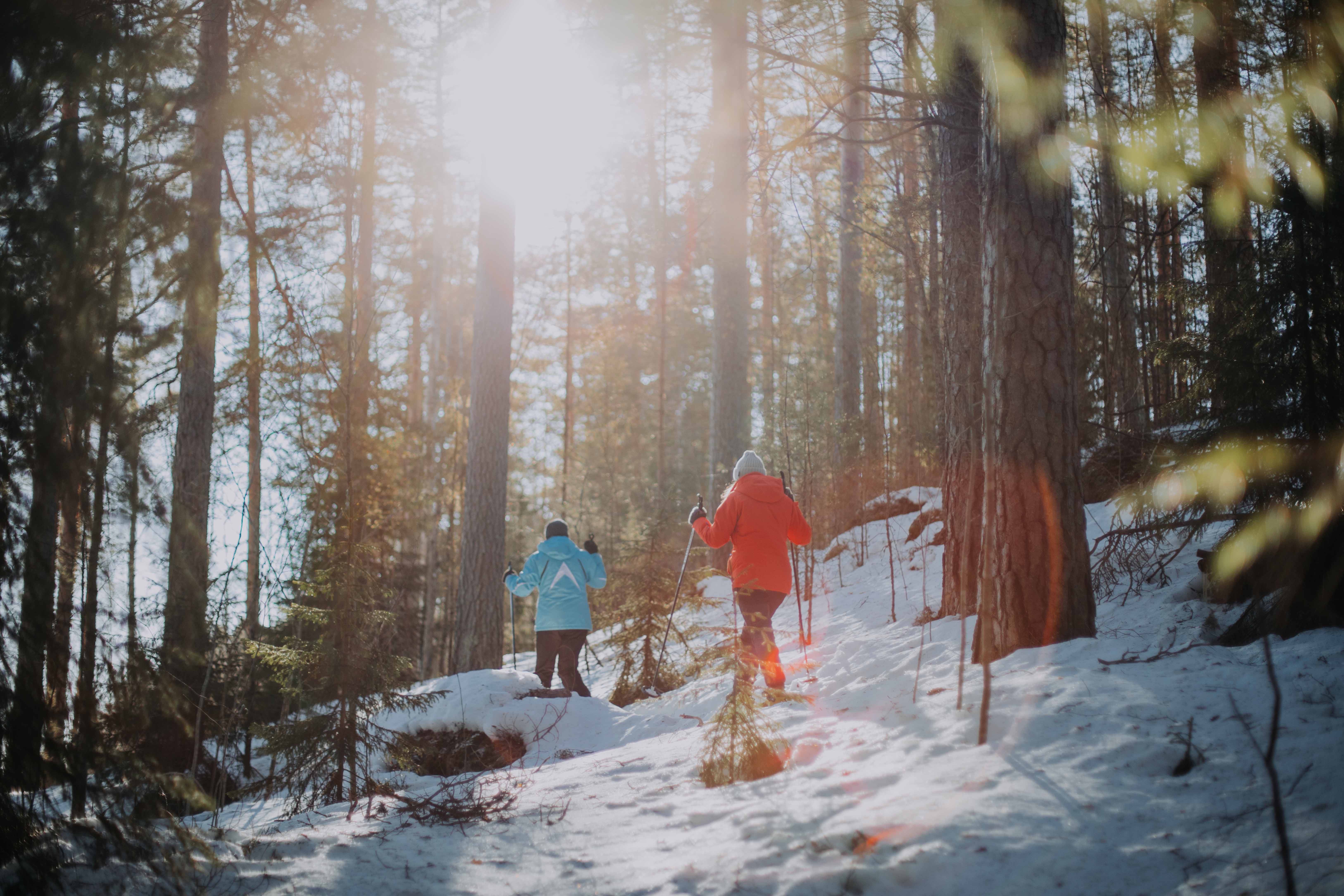 two women snowshoeing in the woods