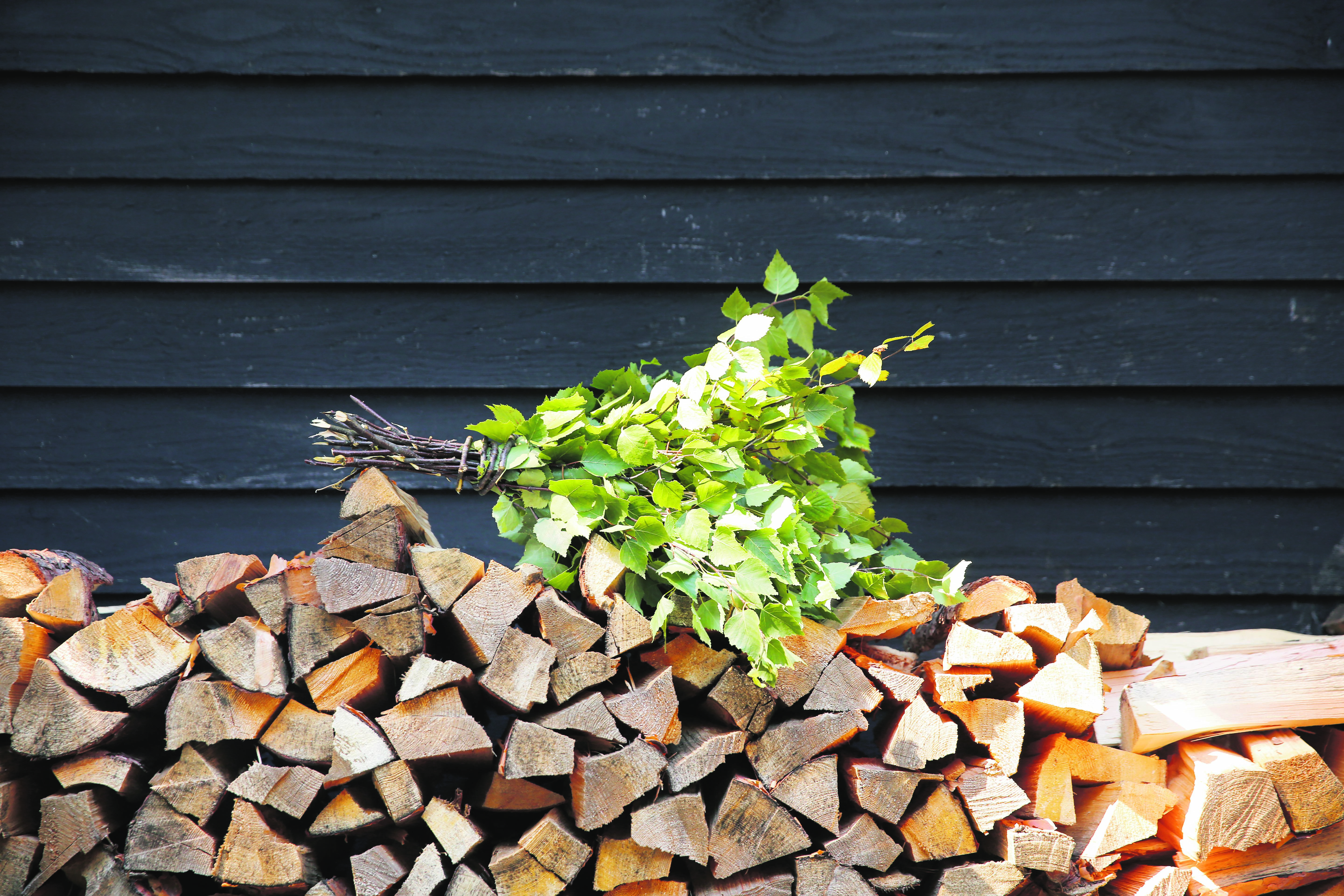 Un ramoscello di betulla su legna da ardere fuori da una sauna in legno