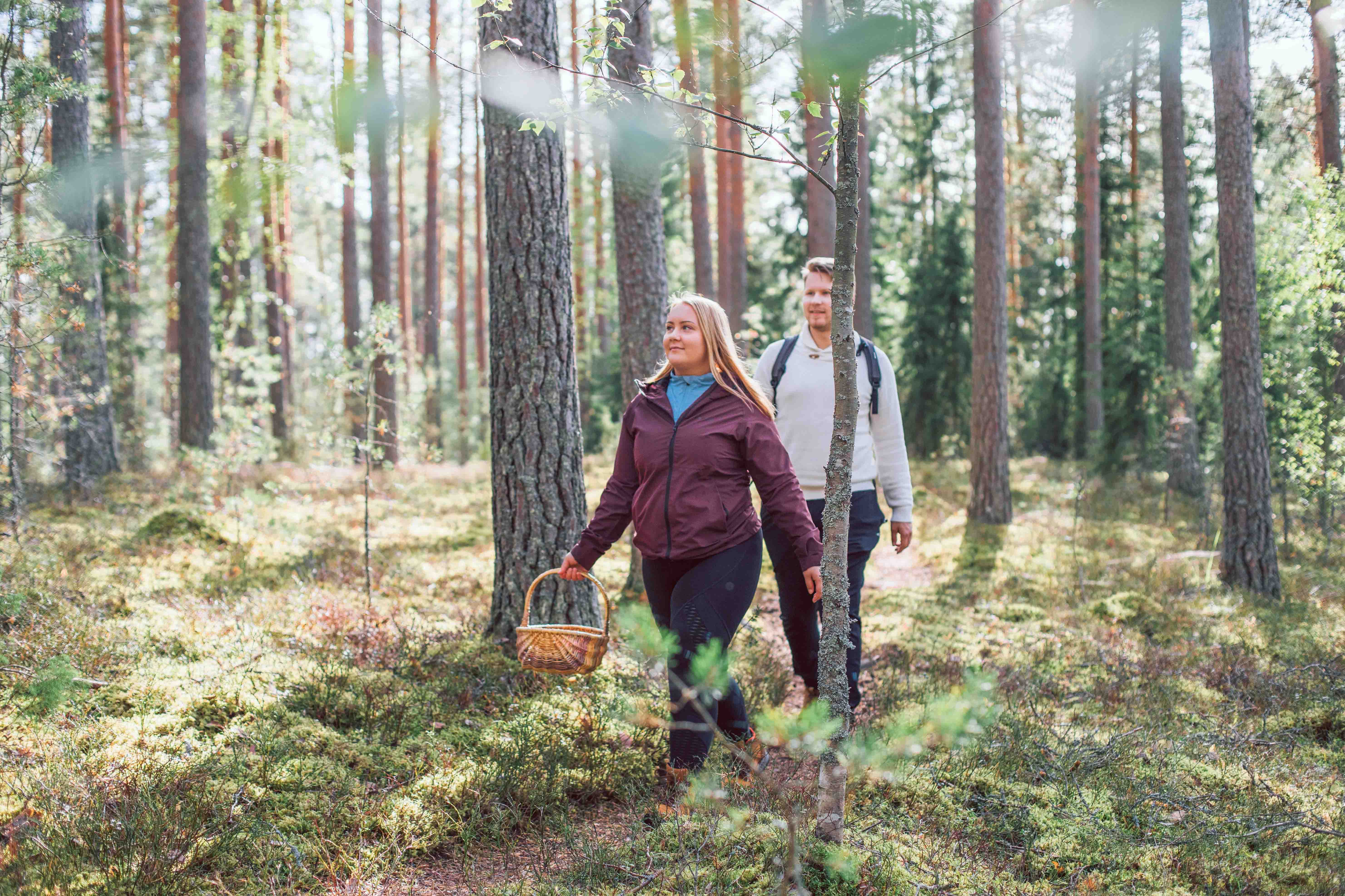 two people in a Finnish forest foraging