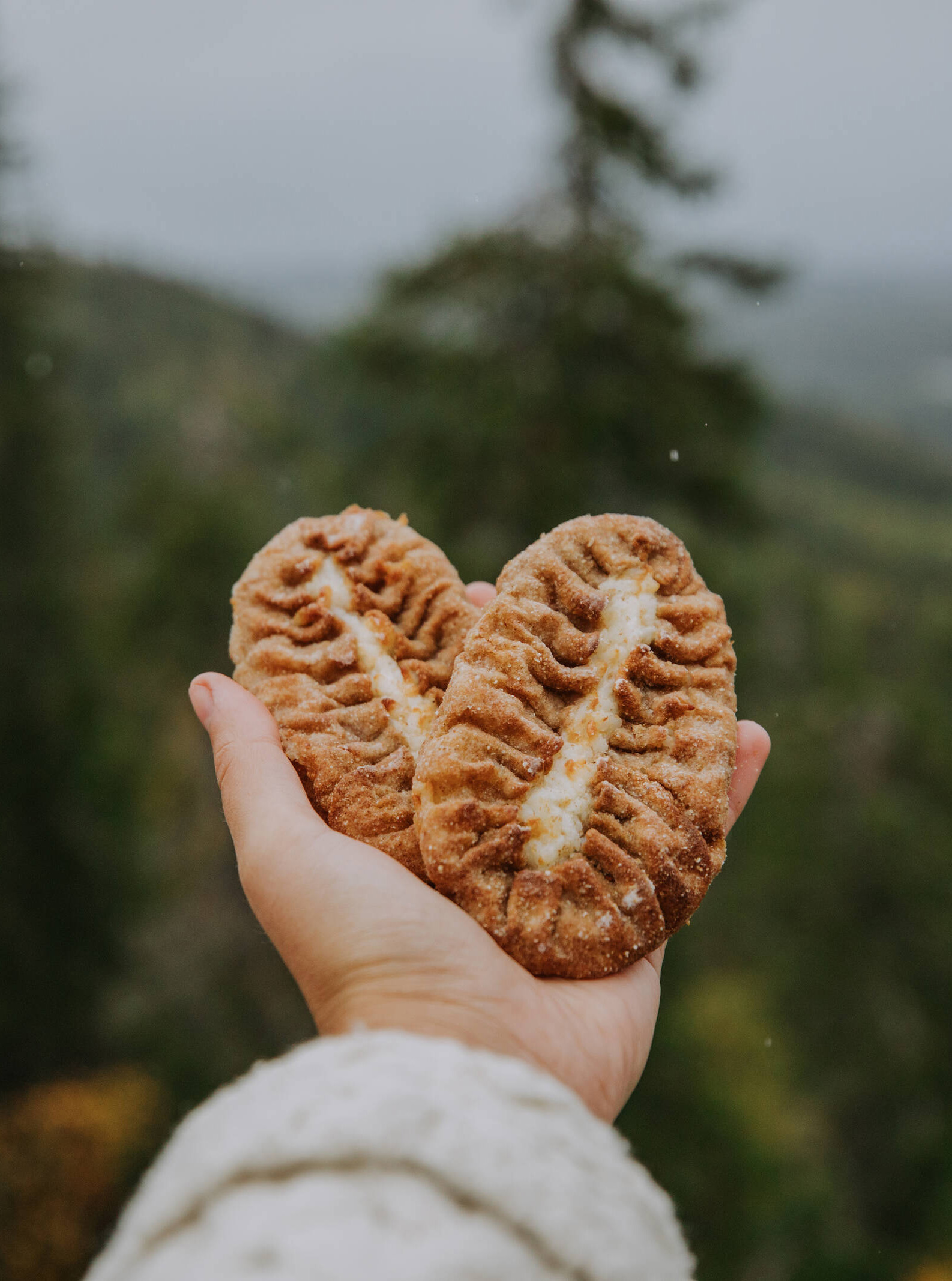 Hand holding two Karelian pies in the air overlooking Koli.