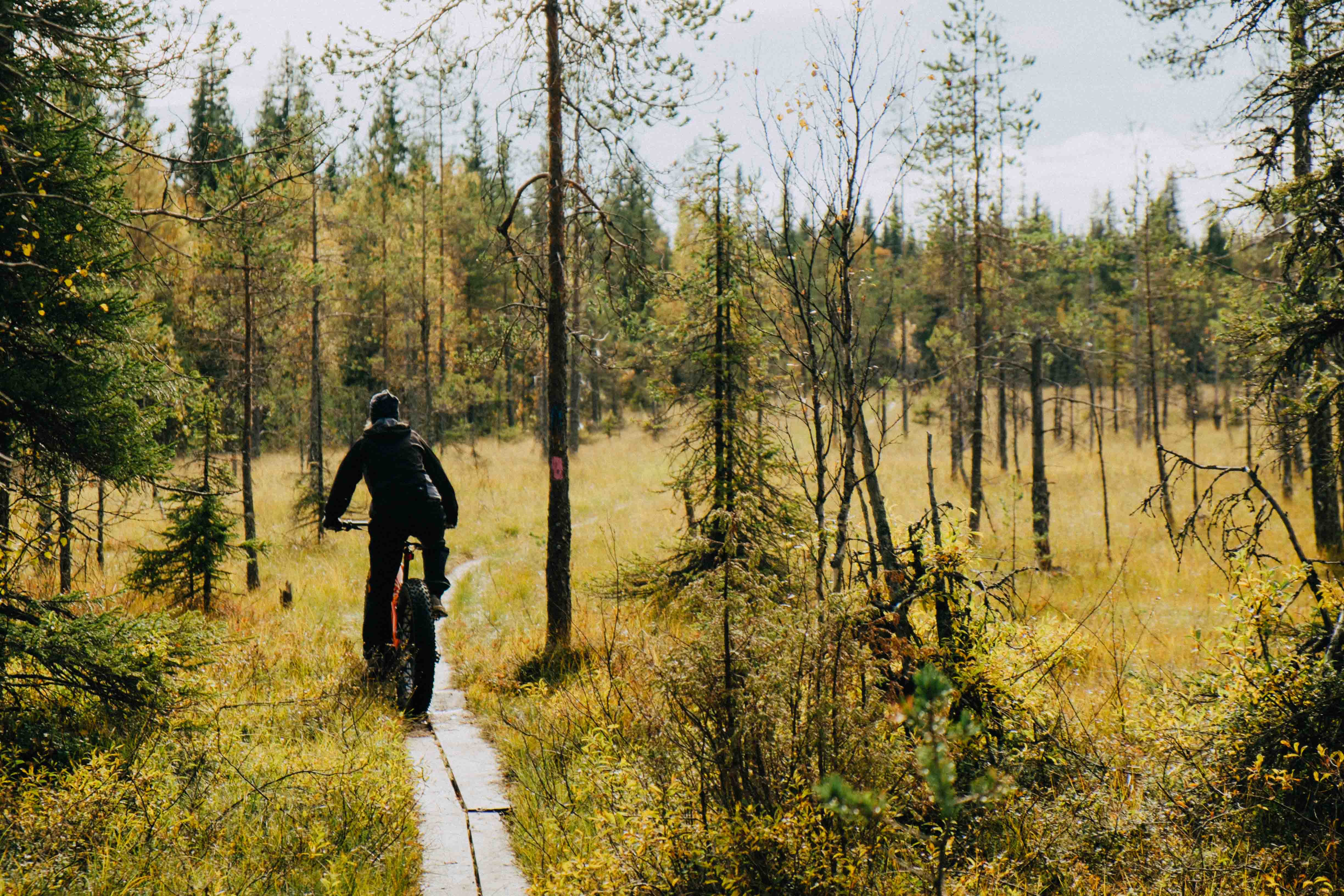 Ein Abenteurer auf einem Fatbike auf einem Holzsteg im Wald in Syöte, Finnland