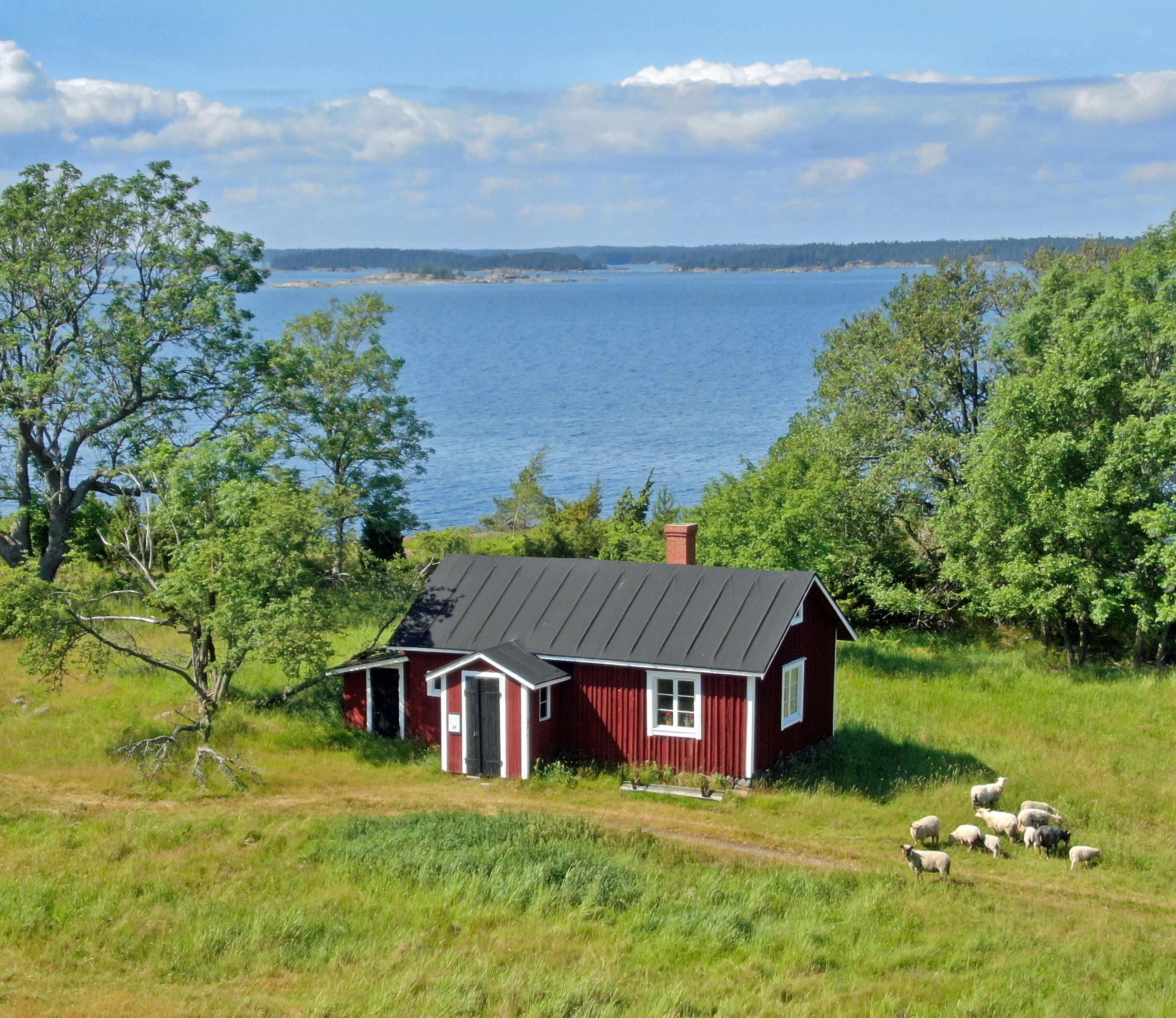 Idyllic red building and some sheeps in coastal countryside in Finland
