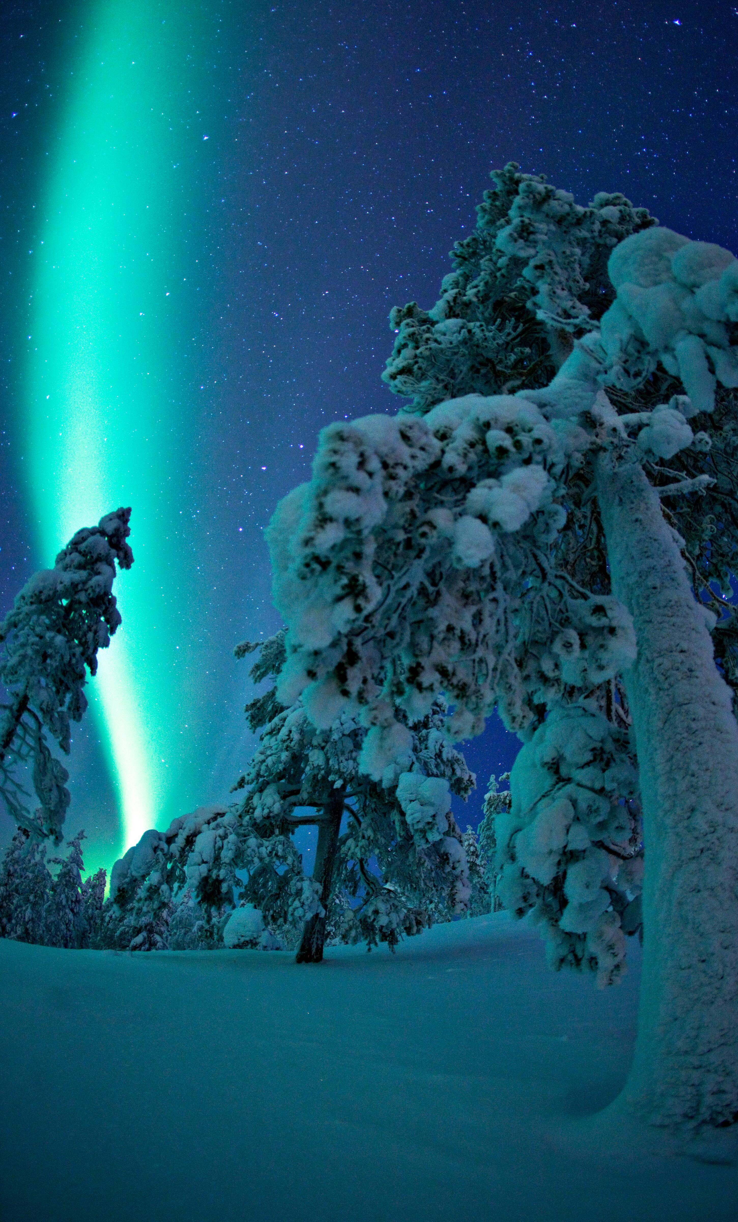 Blue Aurora Borealis in the night sky in Finnish Lapland