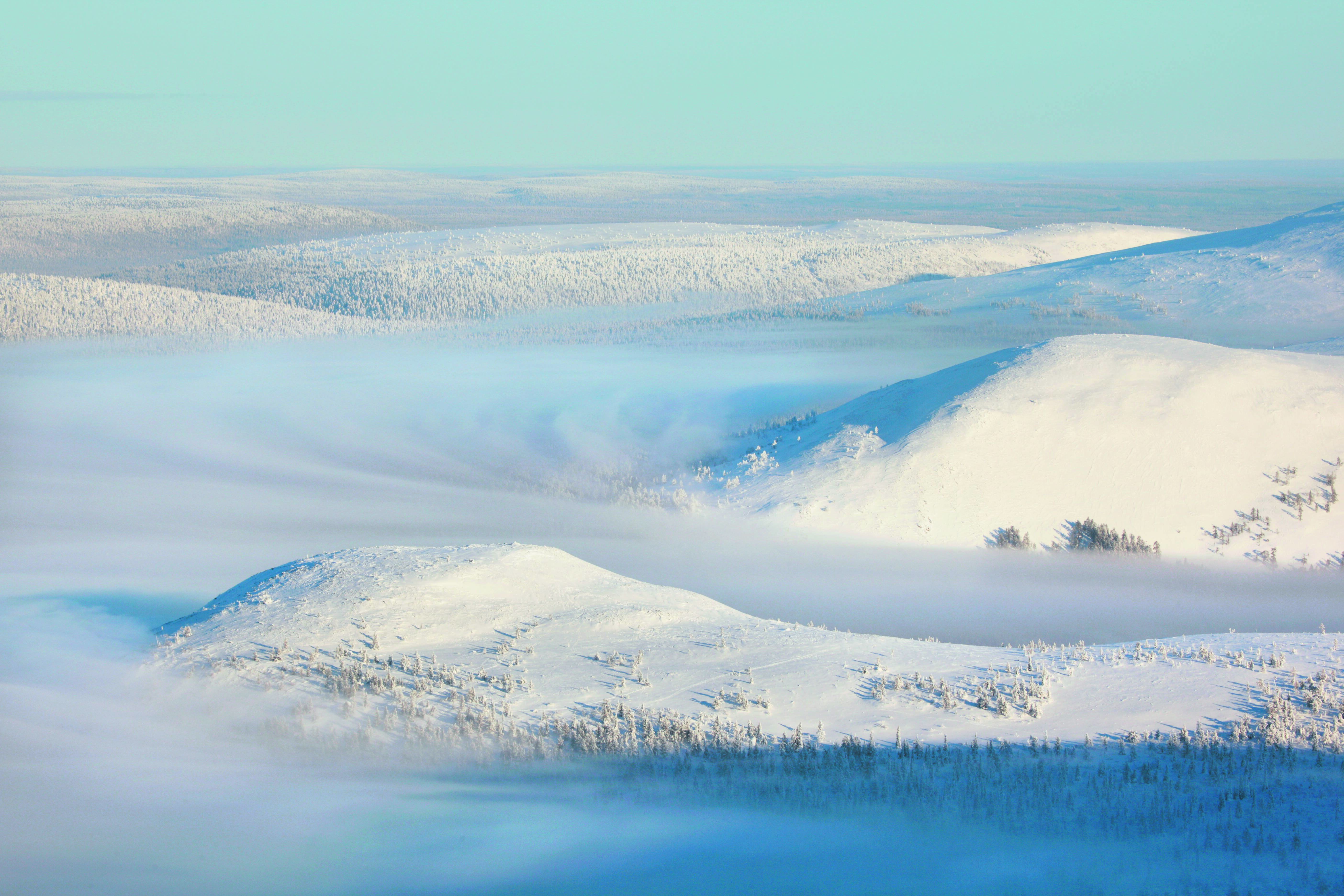 Fjell-Gipfel und bewaldete Berge über den Wolken