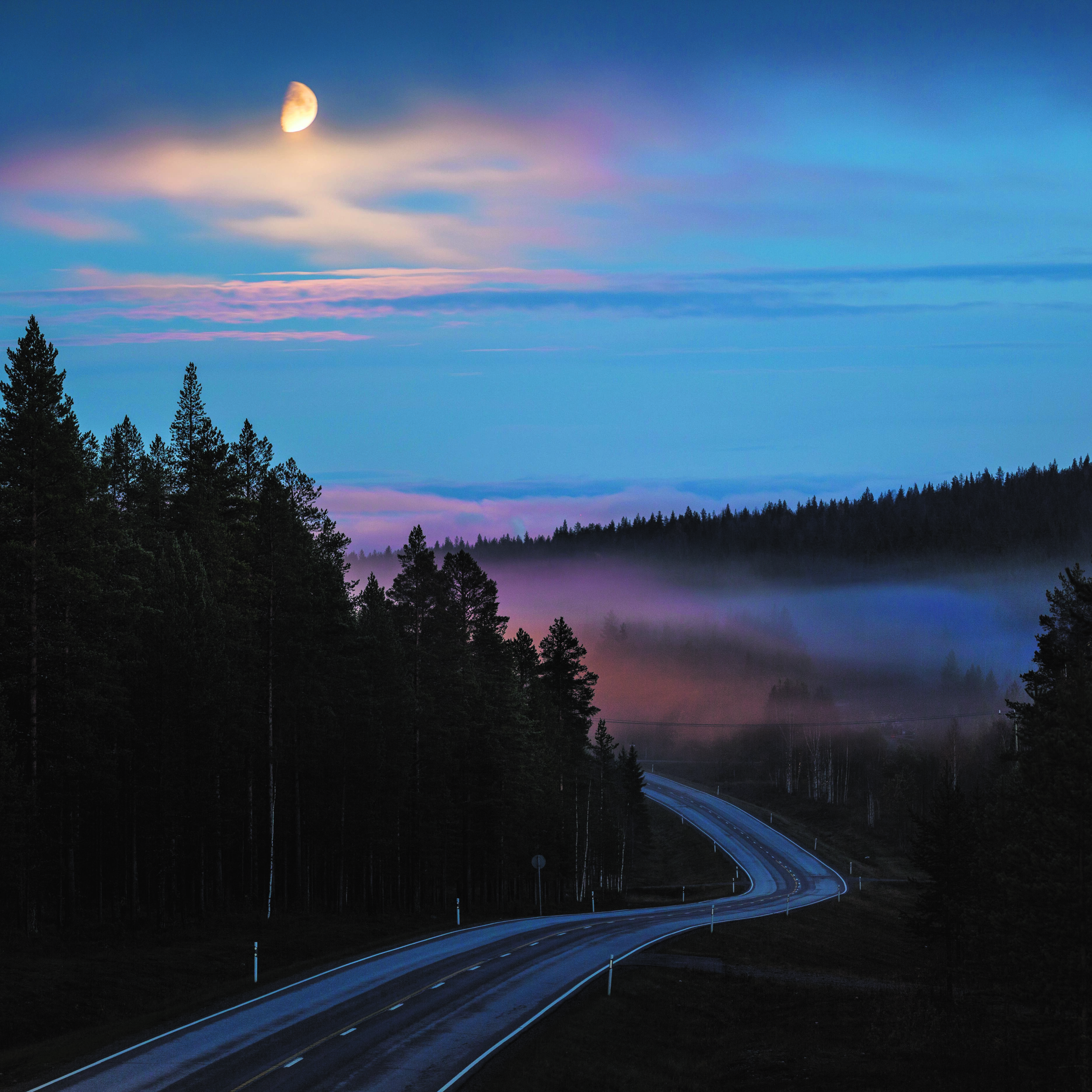 a road in the middle of the forest in the moonlight