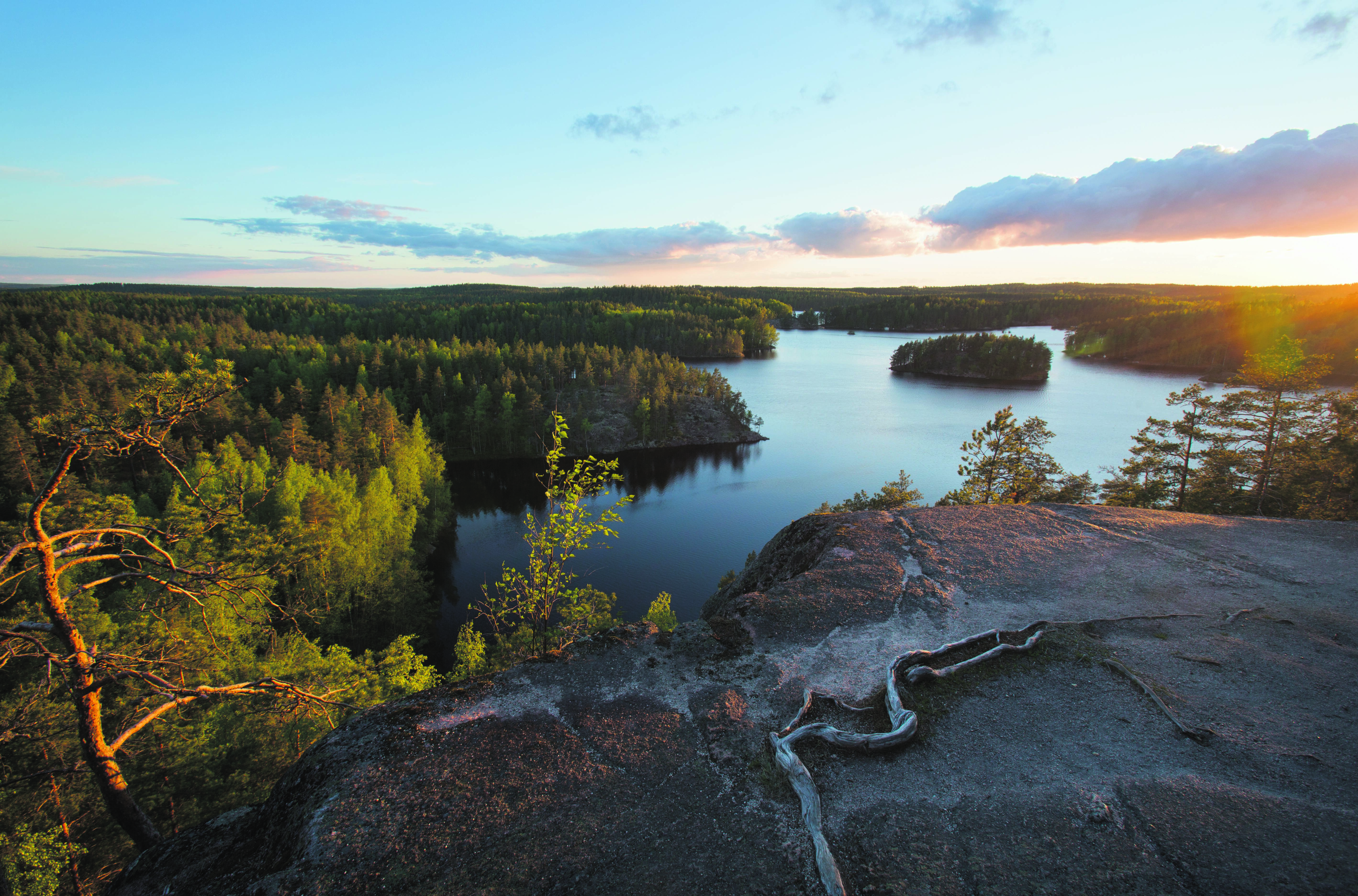Landschaftsaufnahme der finnischen Seenplatte im Sommer
