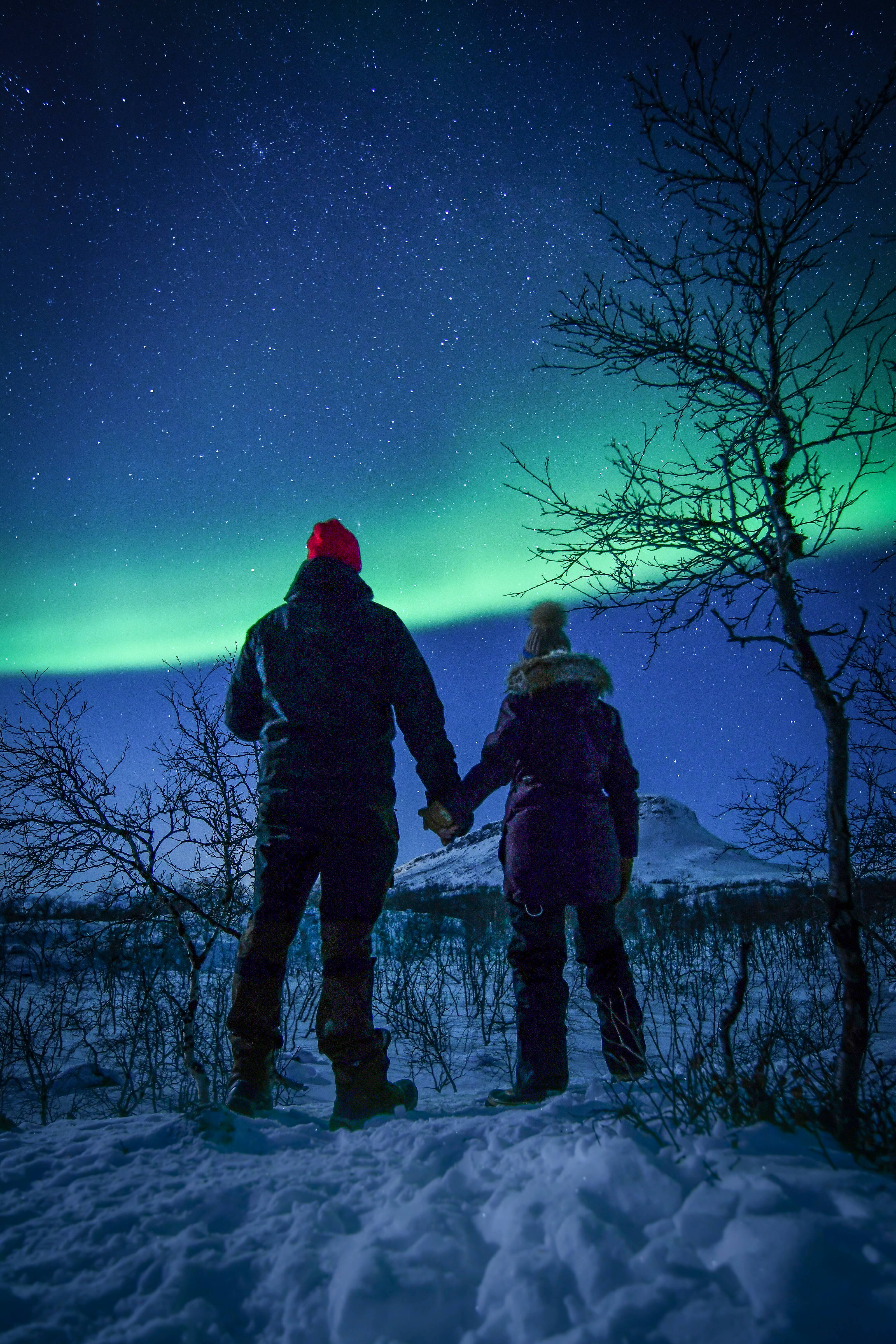 People hold hands with each other in snowy terrain in Lapland  and stare at the Northern Lights
