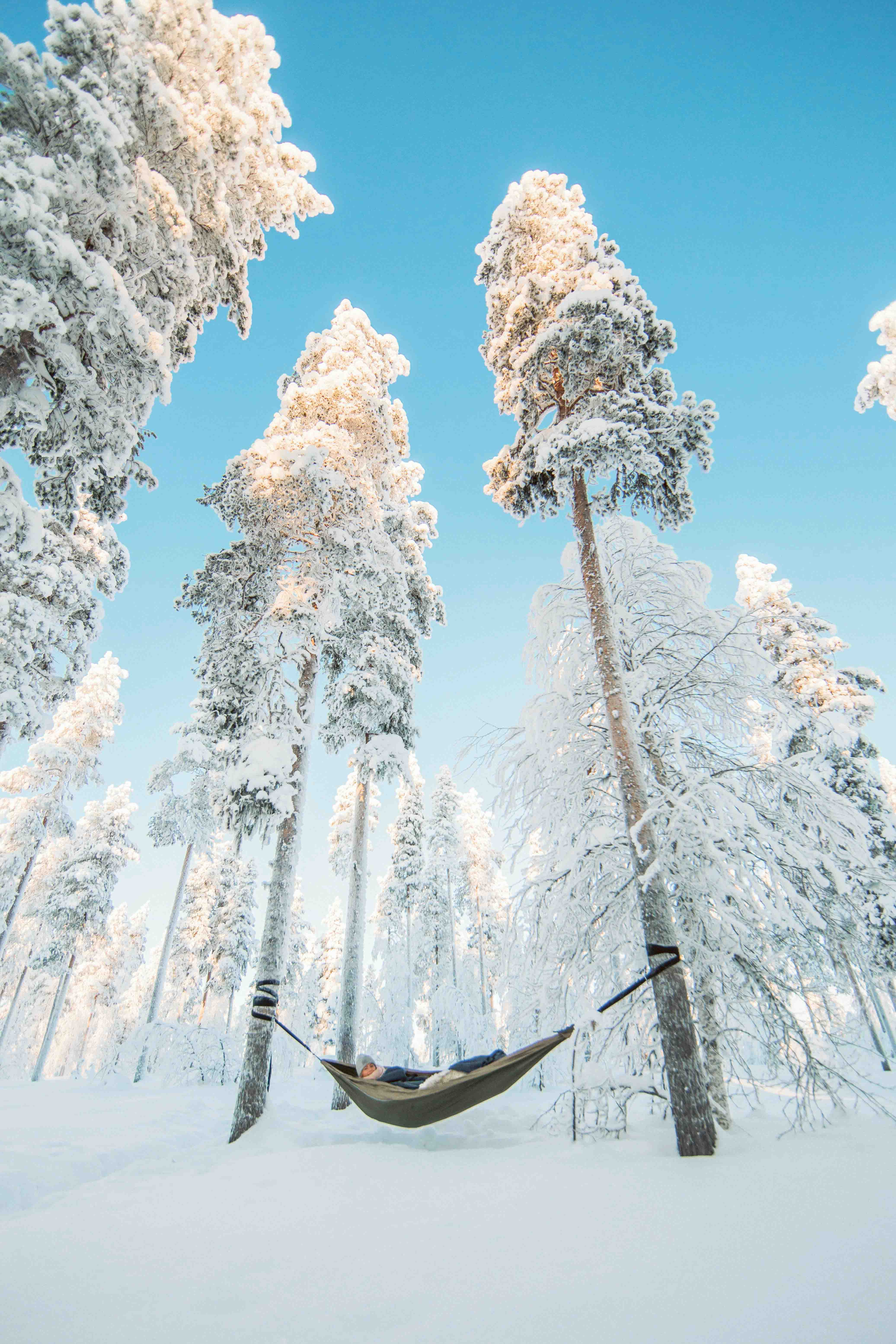 Человек в гамаке между двумя заснеженными деревьями над покрытой снегом землей