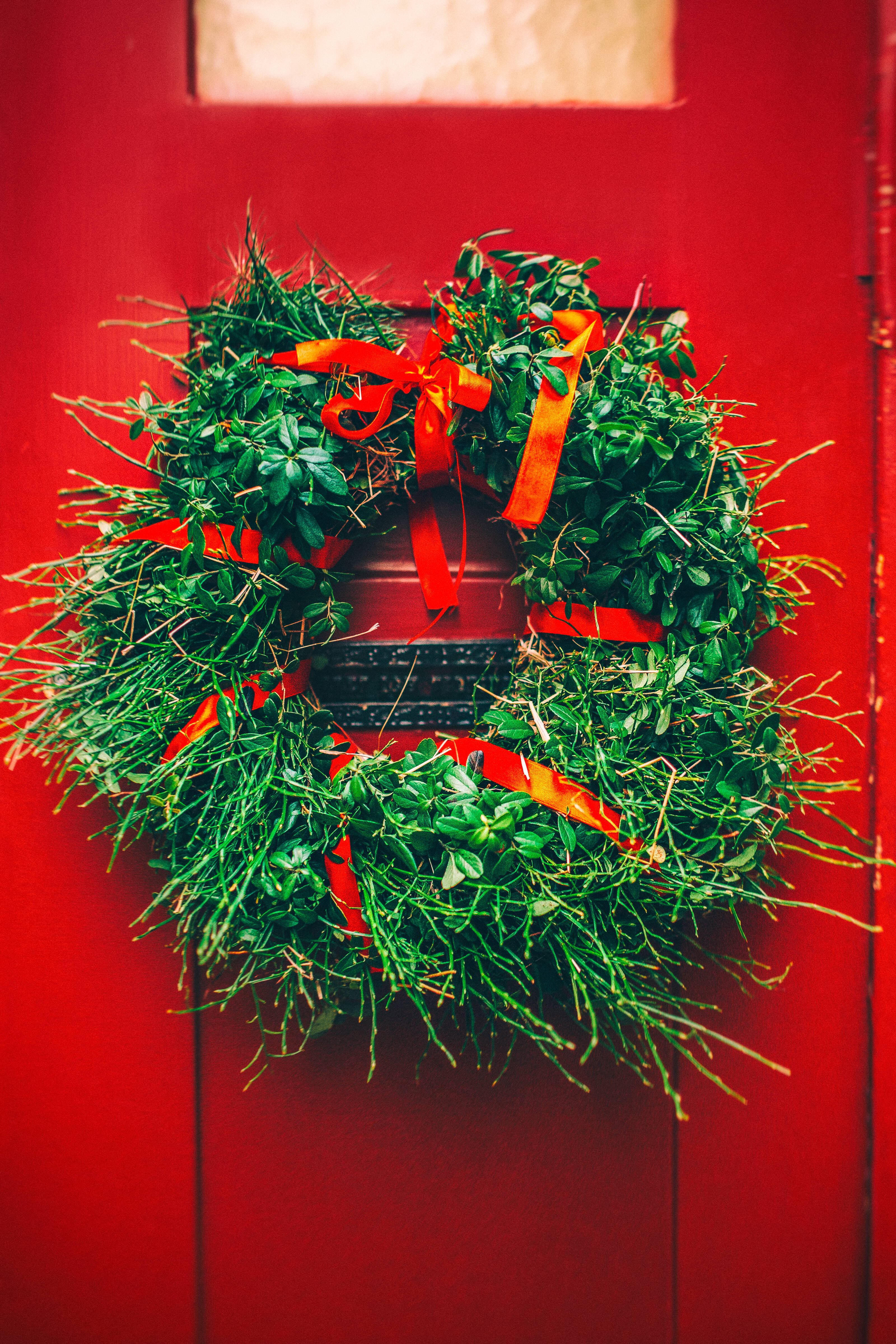 a Christmas door wreath